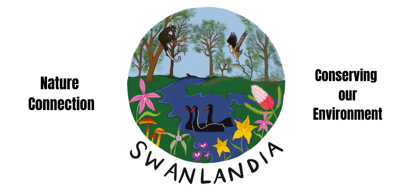 Swanlandia Logo with name